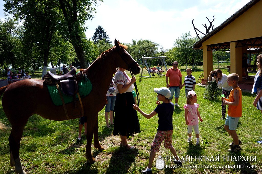 Воспитанники Волковысского детского дома посетили агроусадьбу «Селяхи»