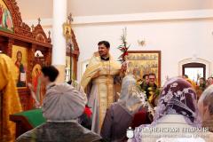 13 апреля 2014 гожа. Вербное воскресенье в храме Архиерейского Подворья 13 апреля 2014 гожа. Вербное воскресенье в храме Архиерейского Подворья