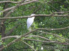 27-29 чэрвеня 2014 года. Моладзевы сплаў прыхаджан царквы ў гонар свяціцеля Лукі 27-29 чэрвеня 2014 года. Моладзевы сплаў прыхаджан царквы ў гонар свяціцеля Лукі