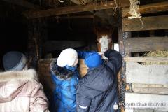 21 февраля 2015 года. Братчики организовали поездку в агроусадьбу для детей из Волковысского детского дома 21 февраля 2015 года. Братчики организовали поездку в агроусадьбу для детей из Волковысского детского дома