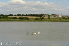 Страницы живой истории одной святыни: храм в деревне Шнипки Страницы живой истории одной святыни: храм в деревне Шнипки