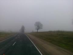 Слушатели первого года катехизаторских курсов при Свято-Покровском соборе совершили первое совместное паломничество в Лавришевс