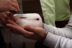 У каложскім прыходзе дзяцей будуць вучыць догляду за жывёламі