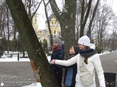 Команда Гродненской епархии приняла участие в международном турнире по интеллектуальным играм «Фавор»