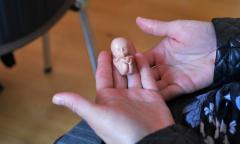 В родительском клубе Покровского собора говорили о защите жизни и семейных ценностей