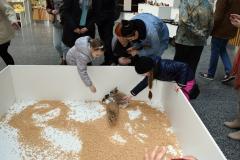 Пасхальная ярмарка в поддержку подопечных детей Гродненского благотворительного общества