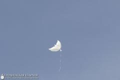 Священник принял участие в итоговой линейке в гимназии Щучина