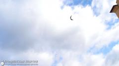 В Гродно прошел Крестный ход в честь Собора Всех Белорусских Святых