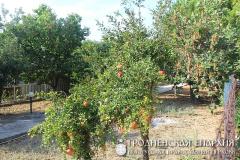 Участники молодежного хора прихода Рождества Христова города Гродно приняли участие в 5-ой международной встрече хоровых коллективов в Афинах