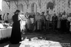 Крестный ход, посвященный событию явления Пресвятой Богородицы в Августовских лесах