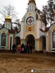 Члены православного клуба многодетных семей «Возрождение» совершили паломничество в Лавришевский монастырь