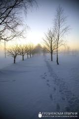 В Зельве отпраздновали Крещение Господне