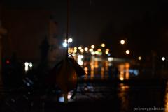 Великая суббота в Покровском соборе: литургия, акция "Велікодная брама" и освящение куличей (фото)