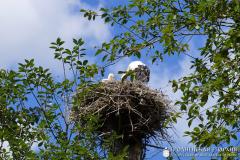 Завершил свою работу первый слет православной молодежи Волковысского благочиния