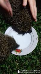 Завершилась первая смена летней воскресной школы в поселке Россь