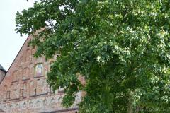 Архиепископ Артемий возглавил торжества по случаю 610-летия храма Архангела Михаила в деревне Сынковичи