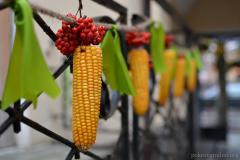 На Пакровы ў кафедральным саборы Гродна зладзілі традыцыйны фэст "Пакроўскае свята"