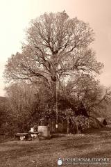 “Да пабачэння, ойча!”, альбо сказ аб крыжы на Шчары