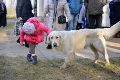 В день памяти прп. Елисея Лавришевского паломническая служба Покровского собора организовала поездку в Свято-Елисеевский монастырь