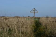 В день памяти прп. Елисея Лавришевского паломническая служба Покровского собора организовала поездку в Свято-Елисеевский монастырь