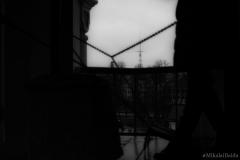 В Покровском соборе отпраздновали День Архистратига Божия Михаила