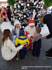 Благотворительная акция «Рождественское чудо» завершилась. Более 250 детей получили подарки на Новый год и Рождество Христово