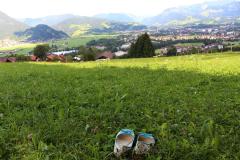 Работа редактора сайта Покровского собора стала призером международного фото-конкурса в Минске Работа редактора сайта Покровского собора стала призером международного фото-конкурса в Минске