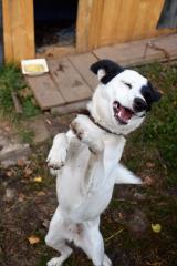 Работа редактора сайта Покровского собора стала призером международного фото-конкурса в Минске Работа редактора сайта Покровского собора стала призером международного фото-конкурса в Минске