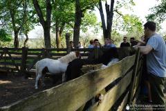 Молодежь Волковысского благочиния совершила паломничество в Жировичский монастырь