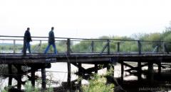 Паломніцтва братэрства цвярозасці "Пакроўскае" у Лаўрышава