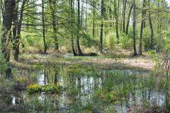 Паломніцтва братэрства цвярозасці "Пакроўскае" у Лаўрышава