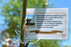 Сад мира «Сирень Победы» у стен древней Коложской церкви пополнился новыми «пасхалиями»