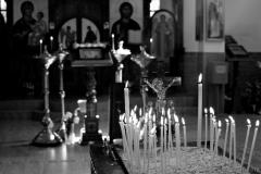 Сад мира «Сирень Победы» у стен древней Коложской церкви пополнился новыми «пасхалиями»