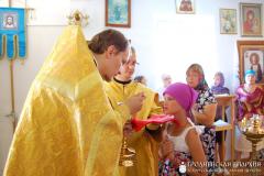 Архиепископ Артемий совершил литургию в храме деревни Гожа