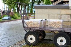 Паломничество общества трезвости "Покровское" к иконе Богородицы "Неупиваемая Чаша" (г. Серпухов)