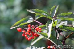 XI епархиальный экологический слет «Православная молодежь за устойчивое развитие» XI епархиальный экологический слет «Православная молодежь за устойчивое развитие»