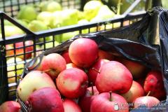 XI епархиальный экологический слет «Православная молодежь за устойчивое развитие» XI епархиальный экологический слет «Православная молодежь за устойчивое развитие»