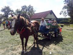 V ежегодный социально-благотворительный слет православной молодежи «Встреча друзей» V ежегодный социально-благотворительный слет православной молодежи «Встреча друзей»
