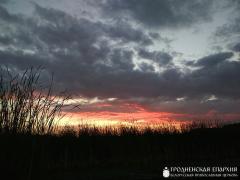 V ежегодный социально-благотворительный слет православной молодежи «Встреча друзей» V ежегодный социально-благотворительный слет православной молодежи «Встреча друзей»