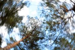 VII летні сямейны лагер ў в. Парэчча VII летні сямейны лагер ў в. Парэчча