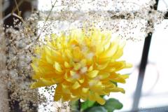 У дзень святкавання Праабражэння Гасподняга Архіепіскап Арцемій узначаліў літургію ў Пакроўскім саборы У дзень святкавання Праабражэння Гасподняга Архіепіскап Арцемій узначаліў літургію ў Пакроўскім саборы