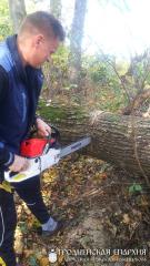 Поход православных скаутов микрорайона Ольшанка города Гродно