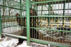 Выхаванцы інтэрната з в. Галавічполье наведалі Жыровіцы і Сынкавічы