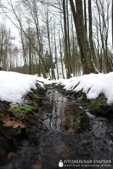 Выхаванцы інтэрната з в. Галавічполье наведалі Жыровіцы і Сынкавічы