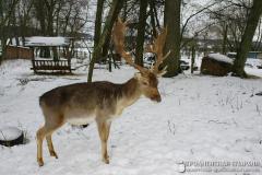 Выхаванцы інтэрната з в. Галавічполье наведалі Жыровіцы і Сынкавічы