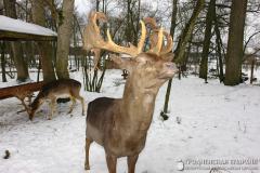 Выхаванцы інтэрната з в. Галавічполье наведалі Жыровіцы і Сынкавічы