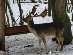 Выхаванцы інтэрната з в. Галавічполье наведалі Жыровіцы і Сынкавічы