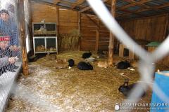 Выхаванцы інтэрната з в. Галавічполье наведалі Жыровіцы і Сынкавічы