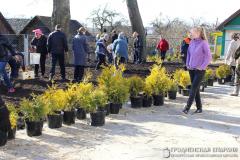 Прихожане церкви деревни Мурованка приняли участие в благоустройстве прихрамовой территории