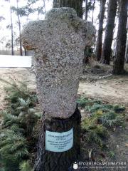 Прихожане храма святителя Луки посетили Лавришевский монастырь